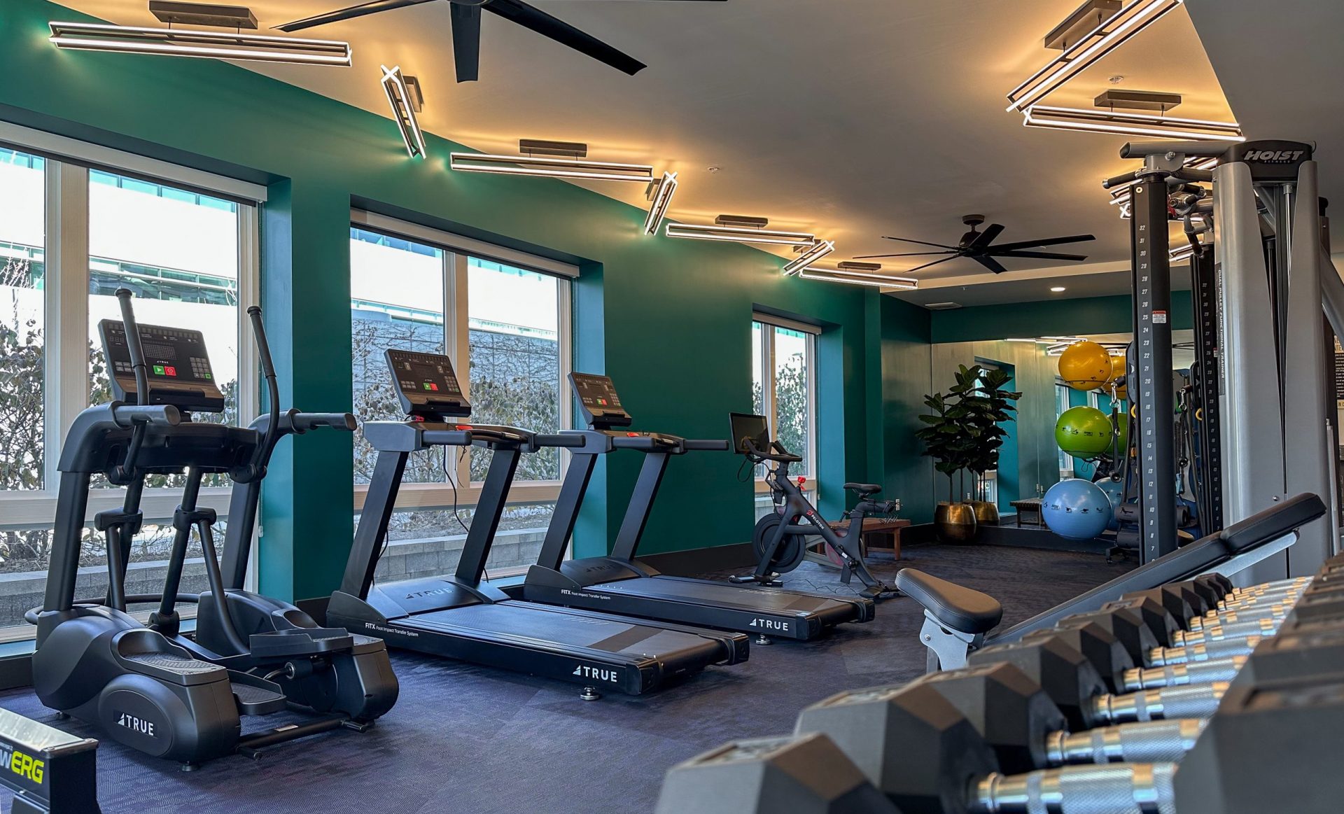 4c   Liberty Duet   Fitness w Lighting Detail 1
