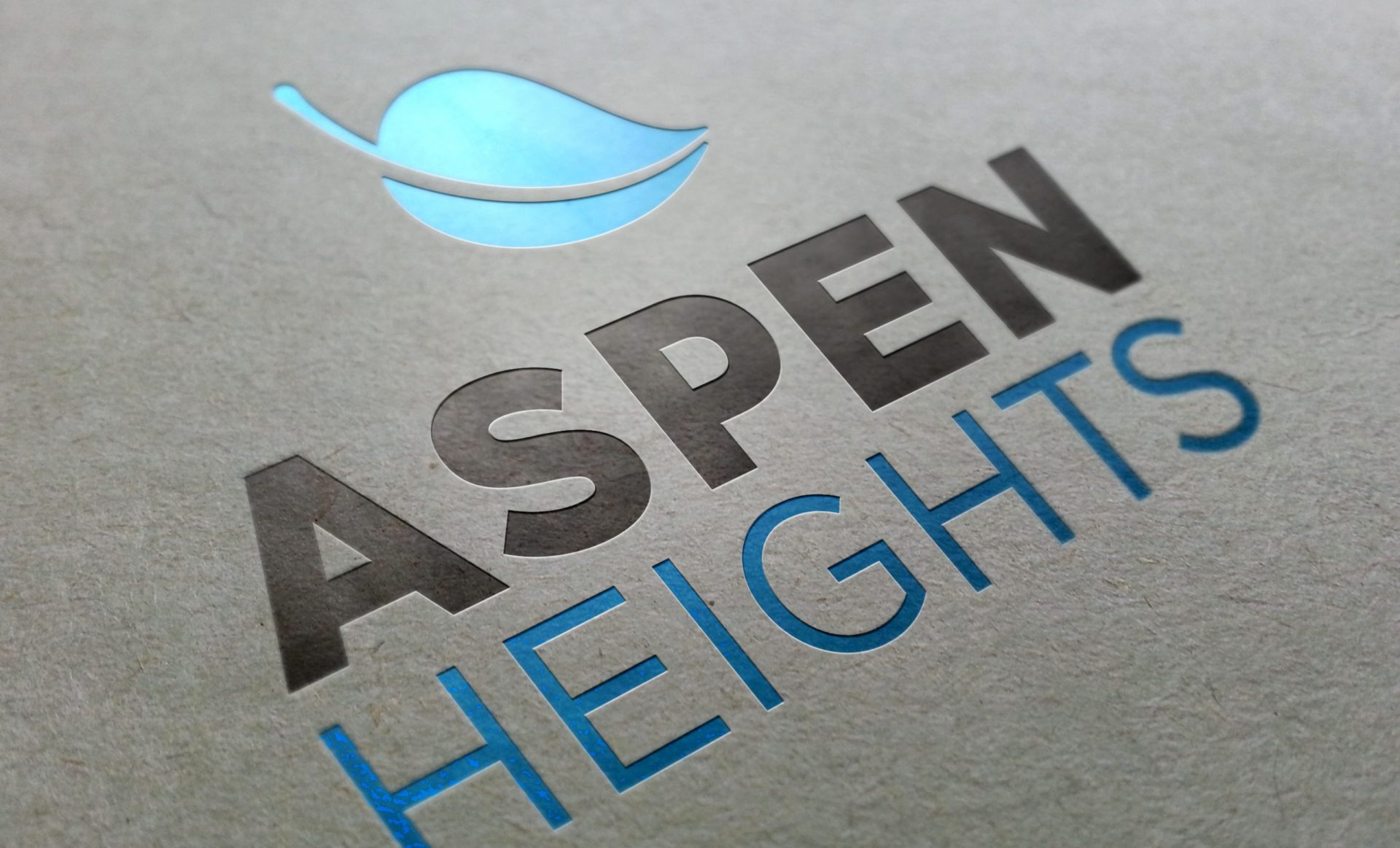 Aspen Tampa Logo Mockup Aspen Tampa Logo Mockup